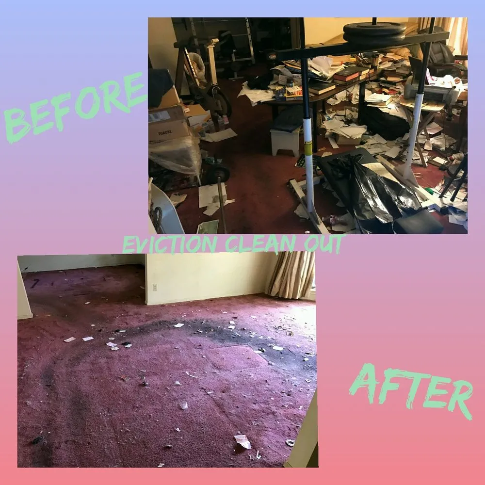 Professional landscape design in Katy, TX by Prestigious Preservators