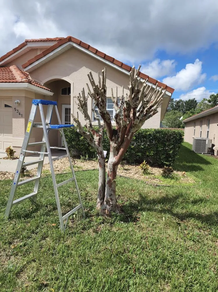 Professional outdoor landscaping in Orlando, FL - Prestigious Quality Care