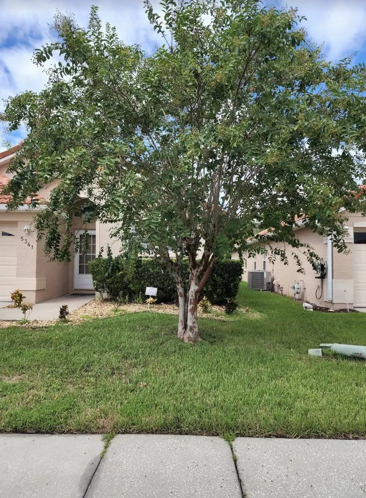 Professional outdoor landscaping for beautiful yards in Orlando, FL by Prestigious Quality Care