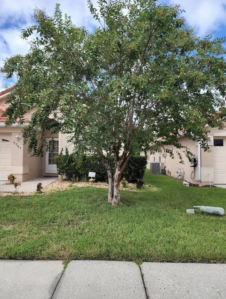 Affordable lawn care service in Orlando, FL - Prestigious Quality Care