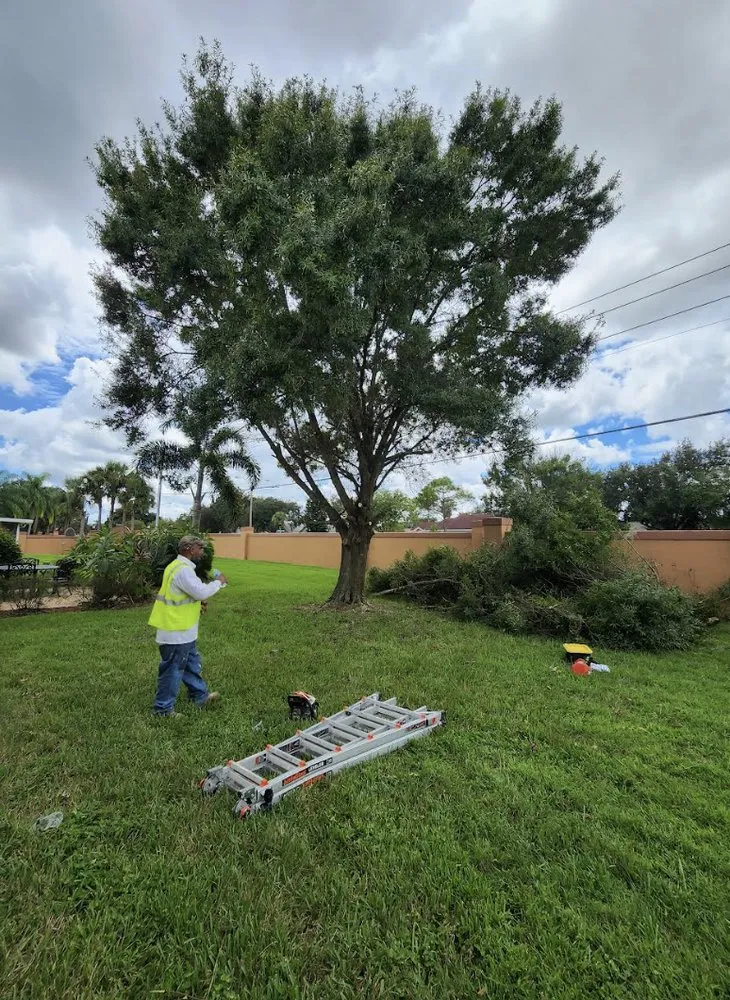 Trusted residential landscaping for beautiful yards across Orlando, FL - Prestigious Quality Care