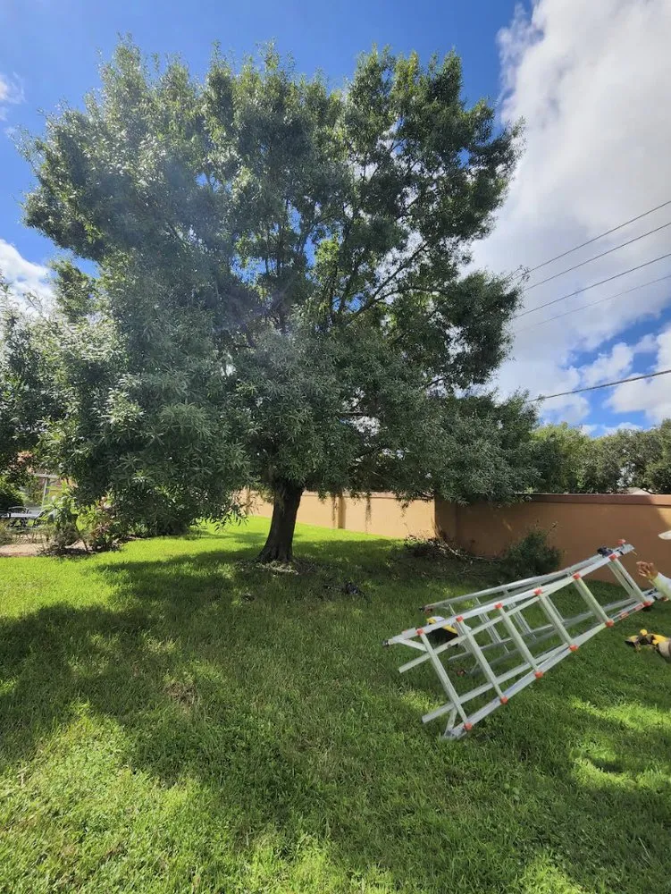 Professional landscape installation in Orlando, FL - Prestigious Quality Care