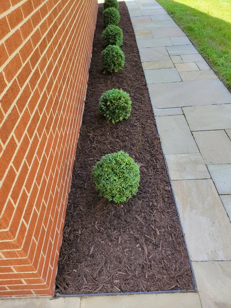Affordable yard maintenance in Oakland, MD by Prestine Landscaping