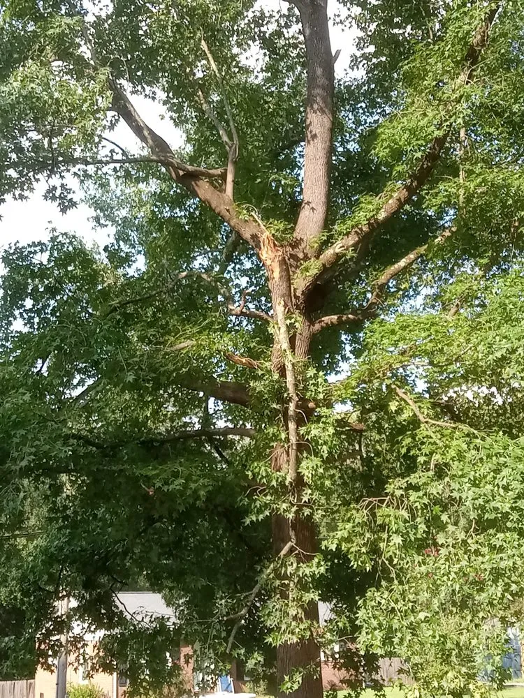 Professional garden landscaping for residential properties across Charlotte, NC - Presto Landscape & Tree Services