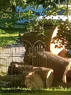 Presto Landscape & Tree Services Logo