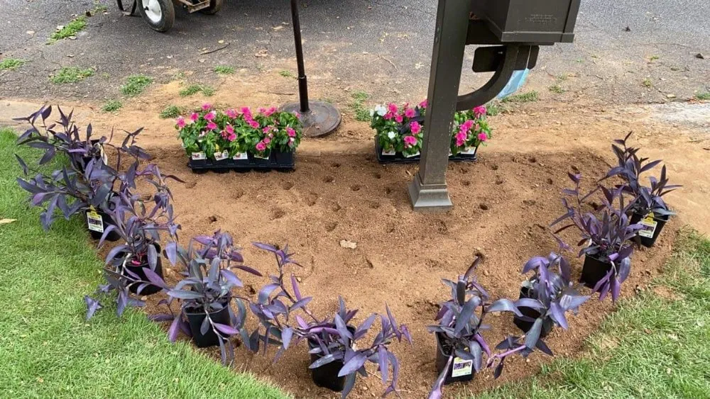 Trusted landscaping services near you across Brookhaven, GA - Presto Lawn Care