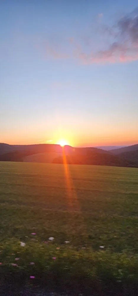 Expert garden landscaping in Kingwood, WV by Preston county Landscaping