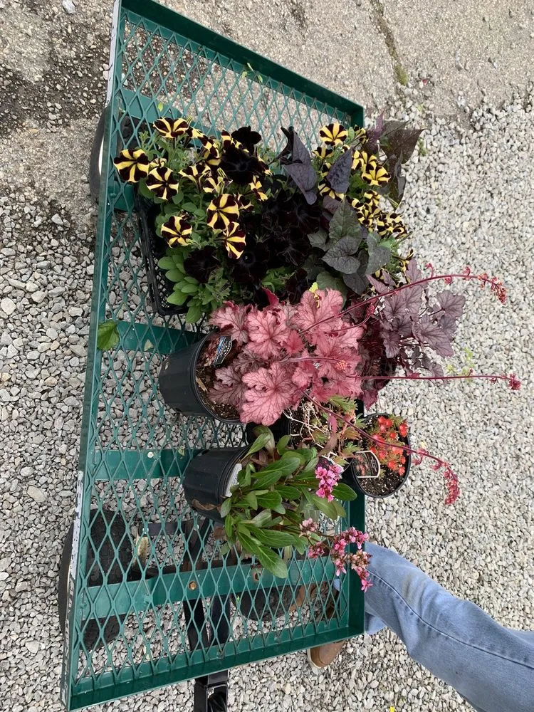 Trusted landscape installation for outdoor upgrades in Louisville, KY by Preston Greenhouse & Garden Center