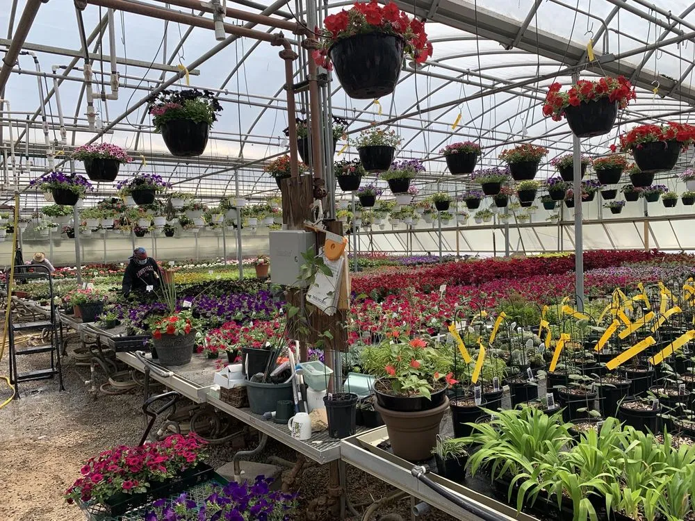 Trusted yard cleanup service in Louisville, KY - Preston Greenhouse & Garden Center