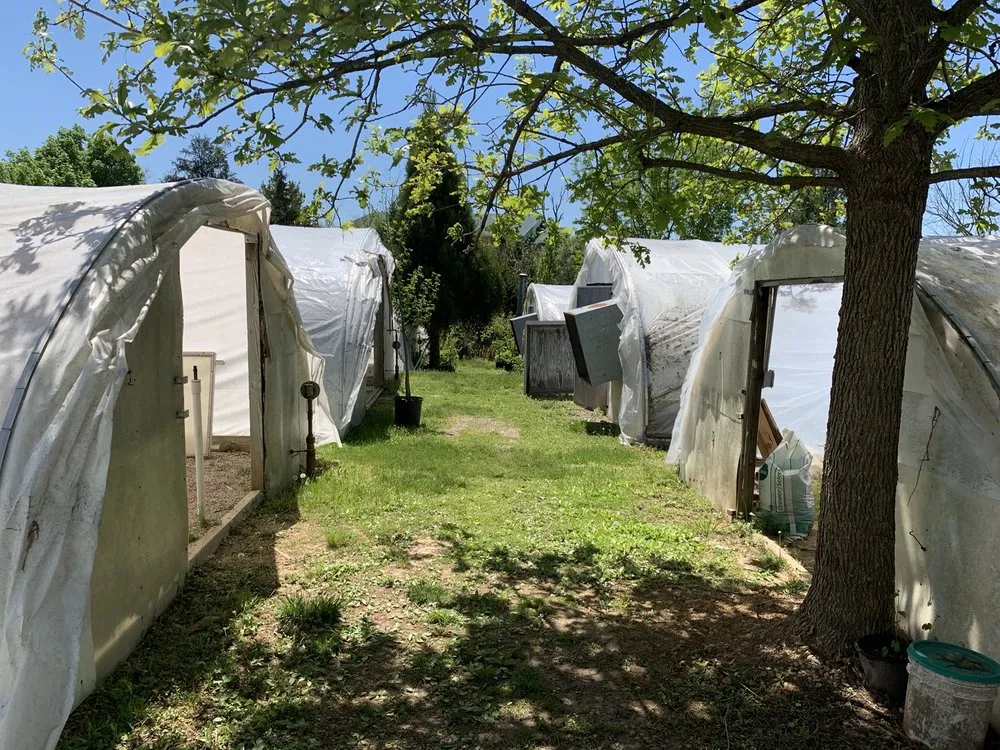 Custom yard maintenance near you in Louisville, KY by Preston Greenhouse & Garden Center