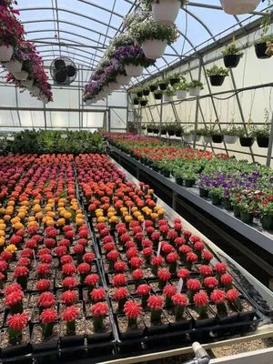 Preston Greenhouse & Garden Center Logo