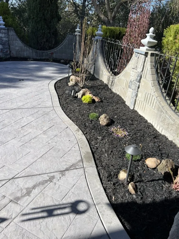 Expert yard cleanup service in Castro Valley, CA - Preston Landscaping
