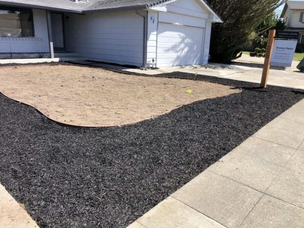 Local yard cleanup service with custom design in Castro Valley, CA by Preston Landscaping