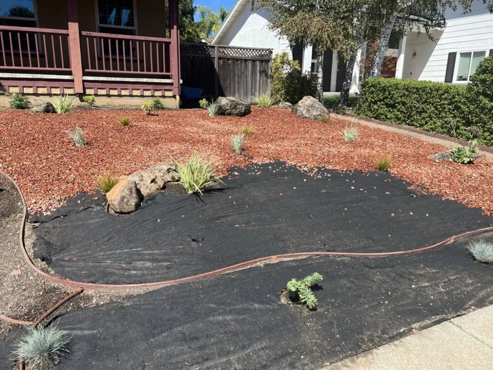Expert landscape installation in Castro Valley, CA - Preston Landscaping