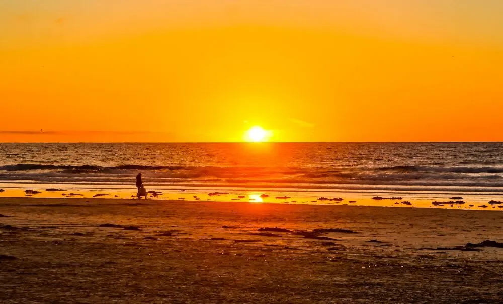 Top-rated landscape installation for year-round maintenance across Castro Valley, CA - Preston Landscaping