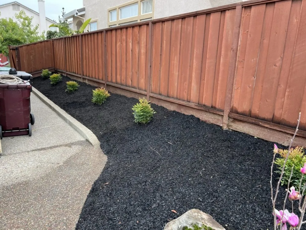 Affordable landscape installation in Castro Valley, CA - Preston Landscaping