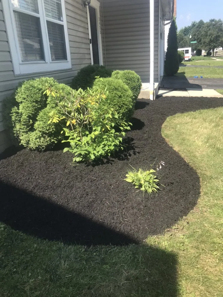 Top-rated landscape design in Columbus, OH by Preston Landscaping