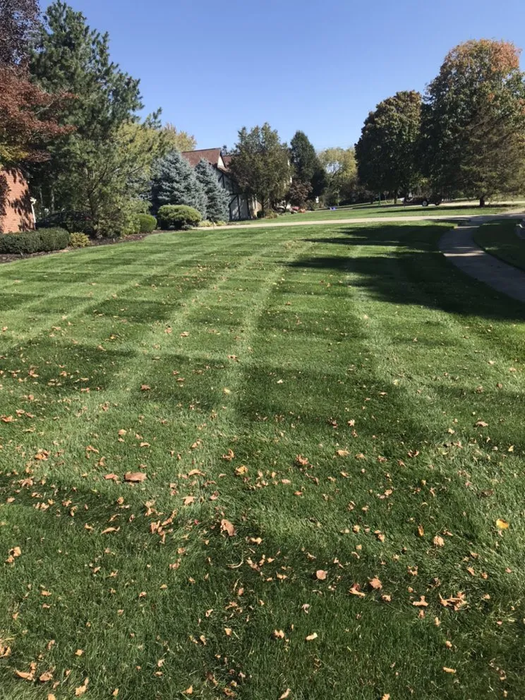 Professional outdoor landscaping in Columbus, OH - Preston Landscaping