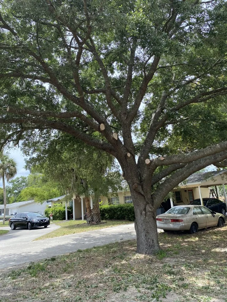 Top-rated landscaping services near you across Beverly Hills, FL - Preston’s Lawn Care