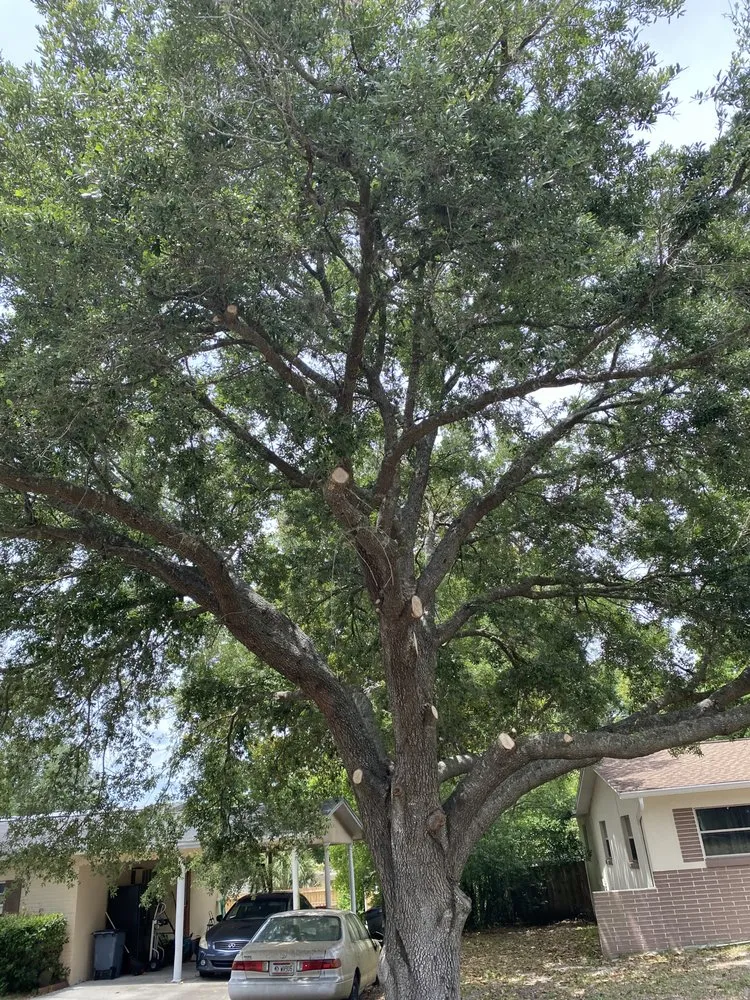 Trusted garden landscaping in Beverly Hills, FL by Preston’s Lawn Care