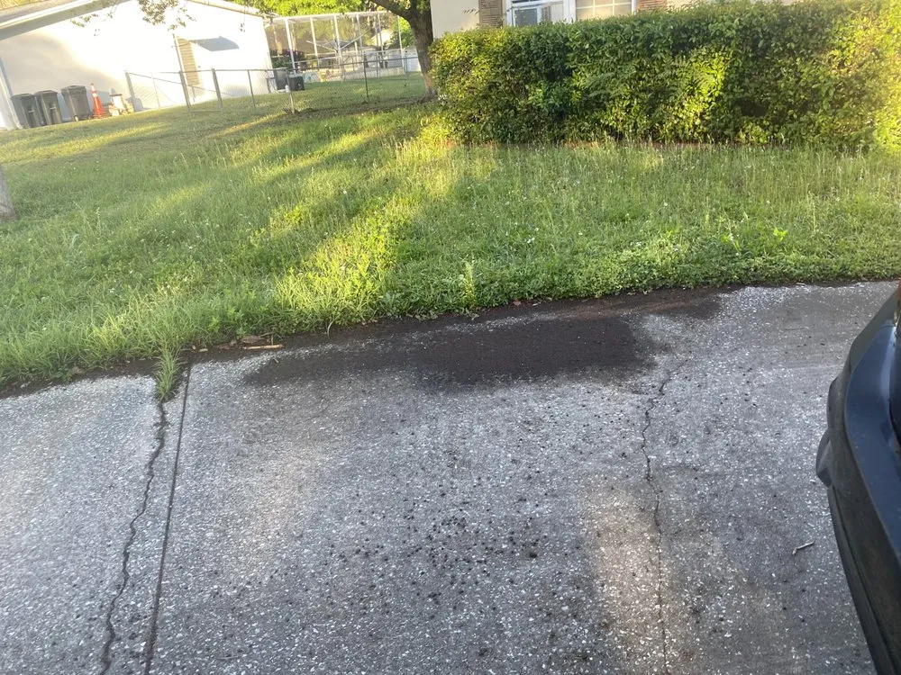 Top-rated yard cleanup service experts serving Beverly Hills, FL - Preston’s Lawn Care