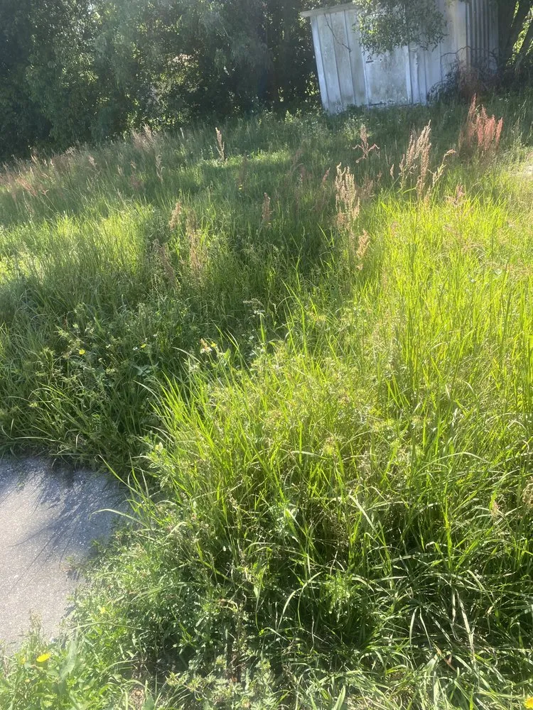 Affordable garden landscaping experts serving Beverly Hills, FL - Preston’s Lawn Care