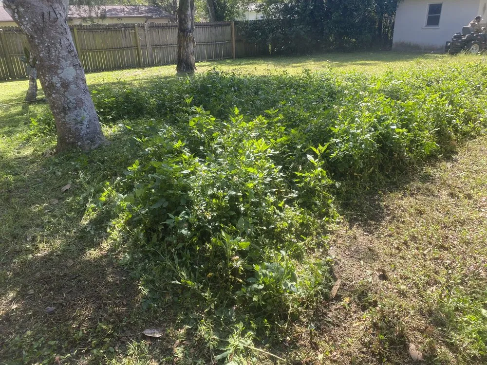 Affordable landscape installation for outdoor upgrades across Beverly Hills, FL - Preston’s Lawn Care