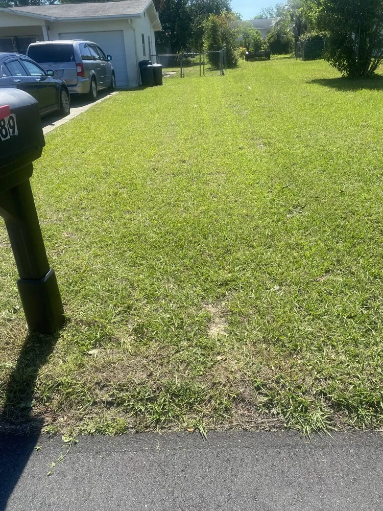 Local yard maintenance for year-round maintenance across Beverly Hills, FL - Preston’s Lawn Care