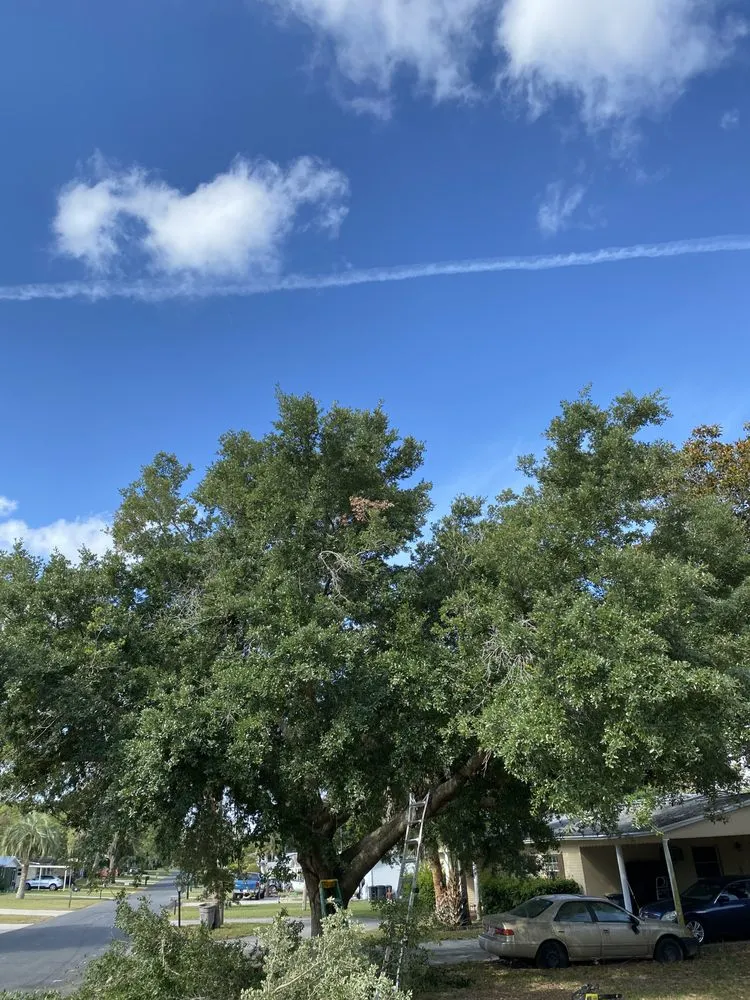 Reliable landscape installation in Beverly Hills, FL - Preston’s Lawn Care