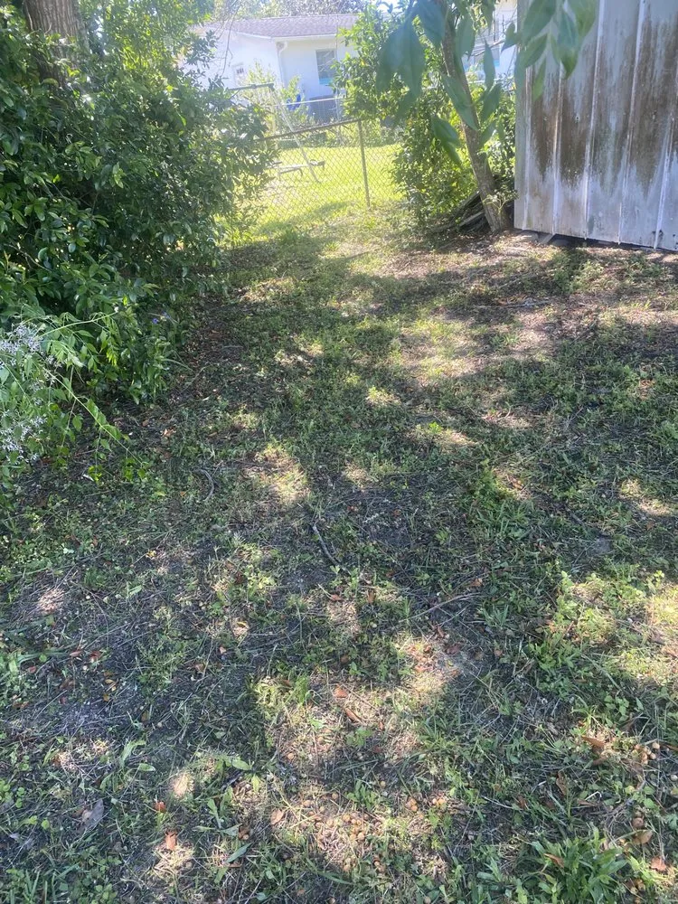 Affordable yard maintenance in Beverly Hills, FL - Preston’s Lawn Care