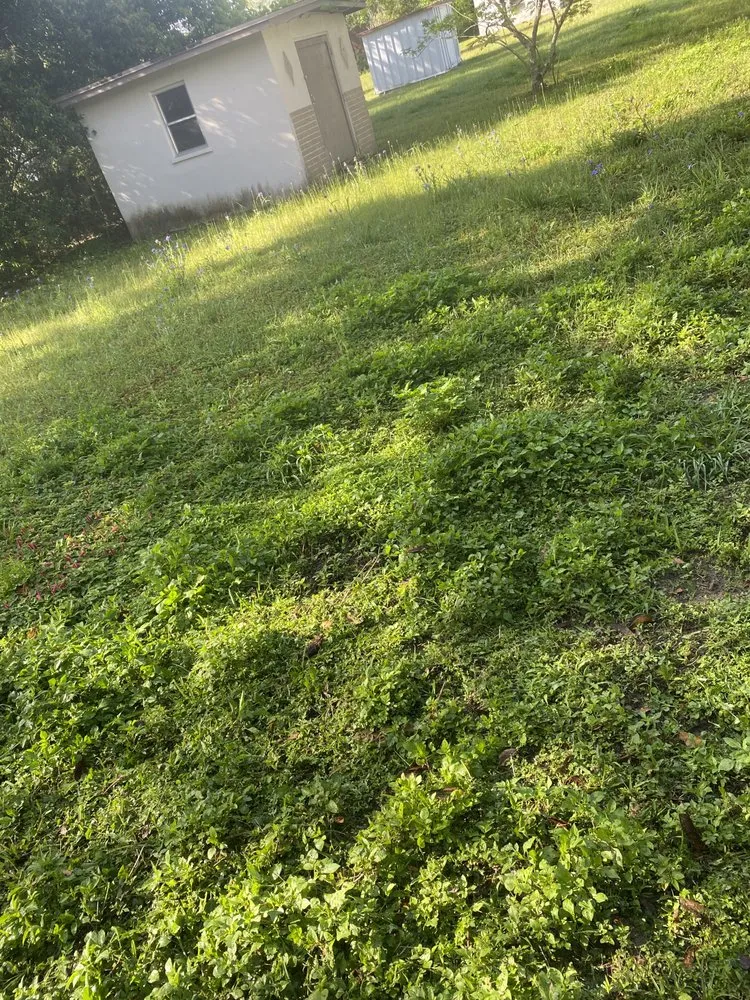 Professional landscaping services for year-round maintenance across Beverly Hills, FL - Preston’s Lawn Care