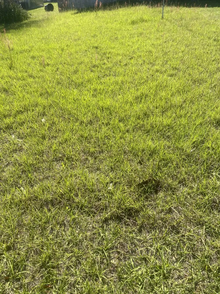 Custom garden landscaping for beautiful yards across Beverly Hills, FL - Preston’s Lawn Care