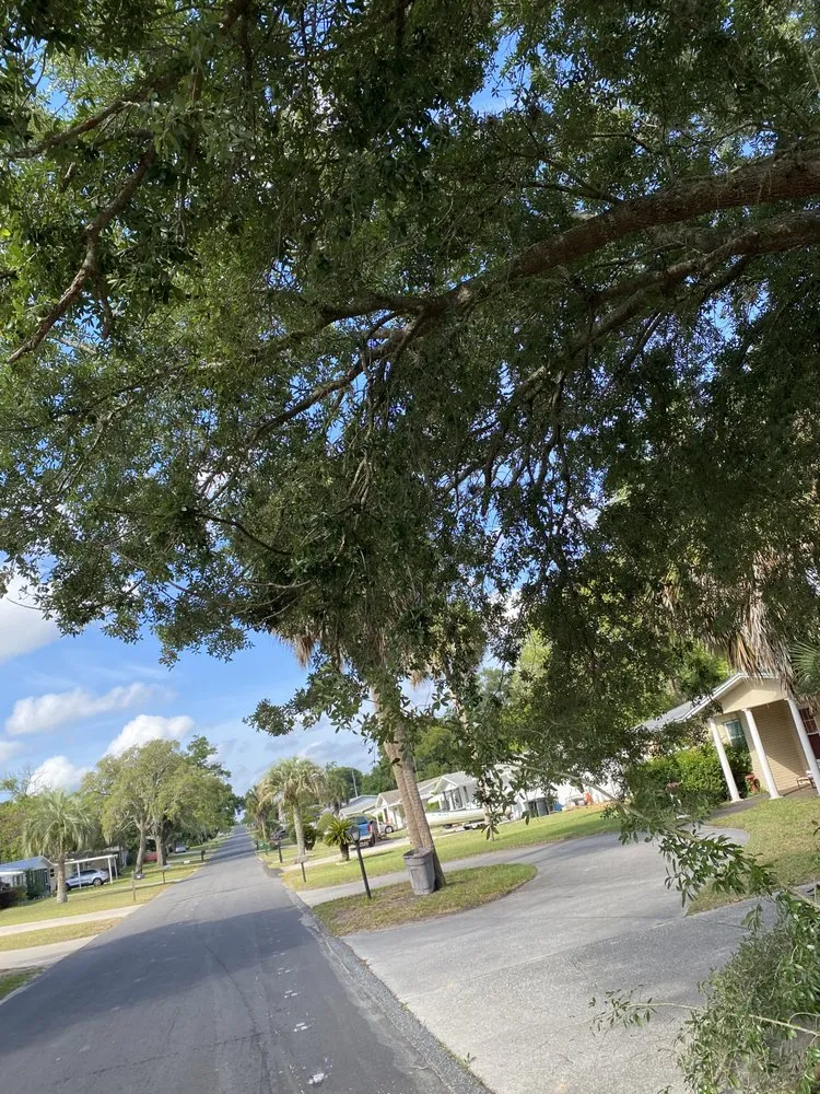 Custom landscaping services experts serving Beverly Hills, FL - Preston’s Lawn Care