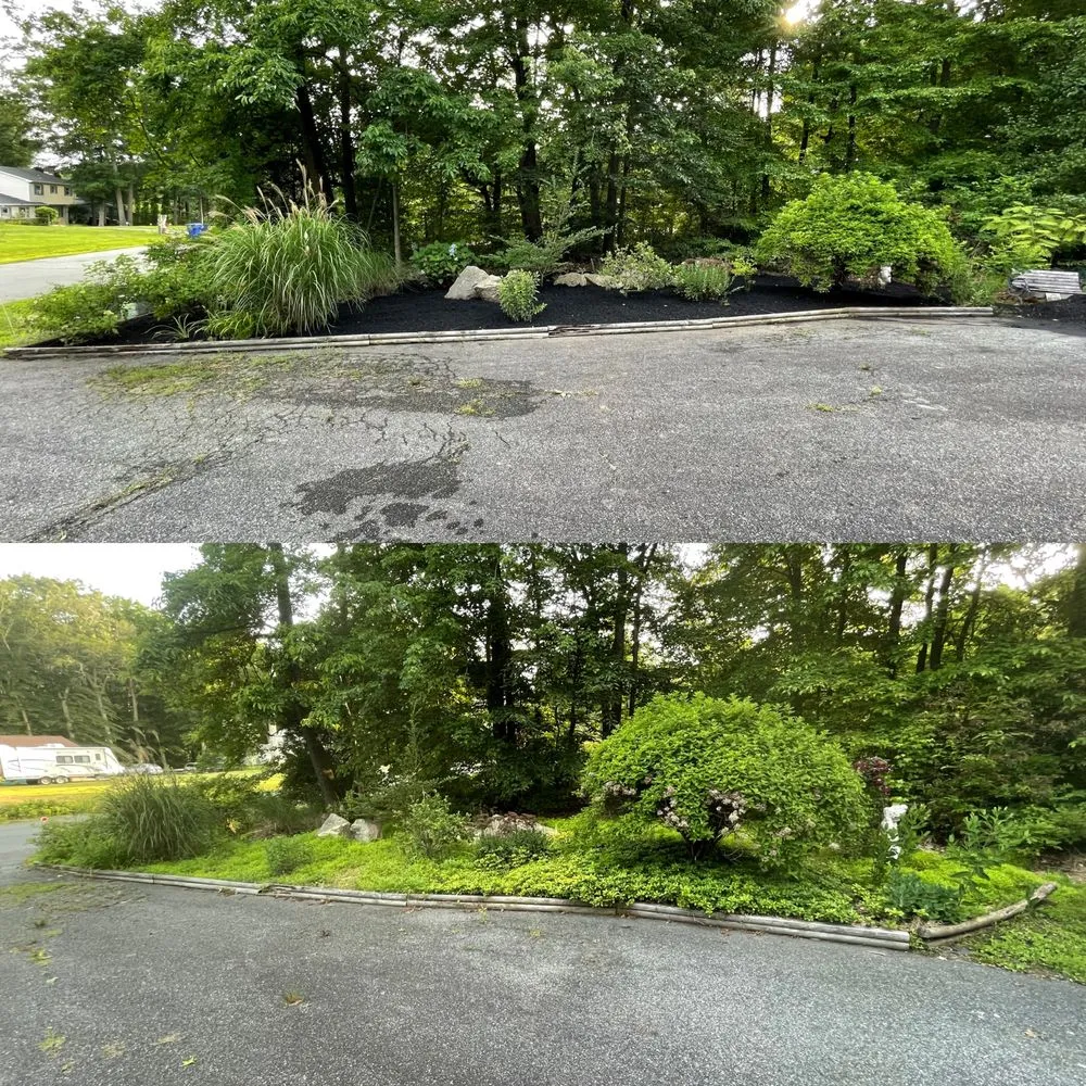 Expert landscaping services near you across Elkton, MD - Preston’s Lawn Care