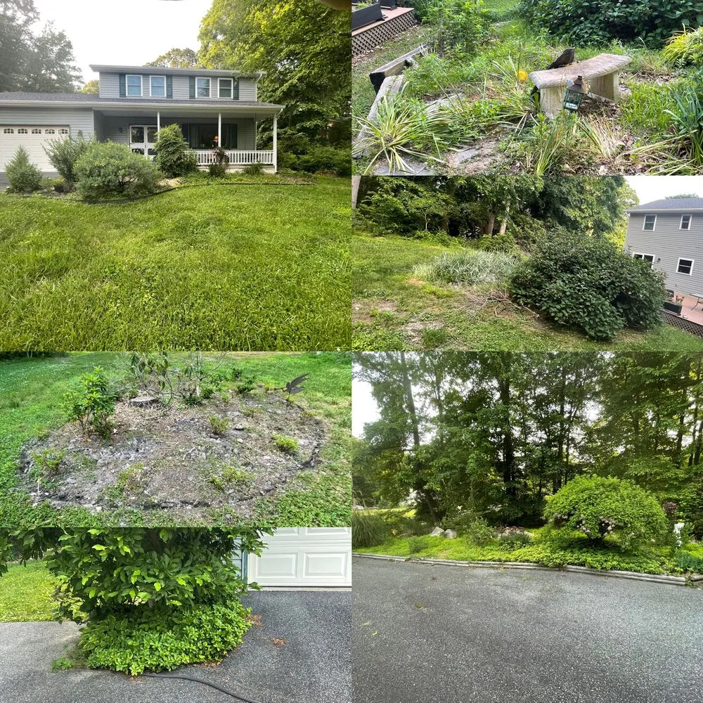 Custom yard cleanup service in Elkton, MD by Preston’s Lawn Care