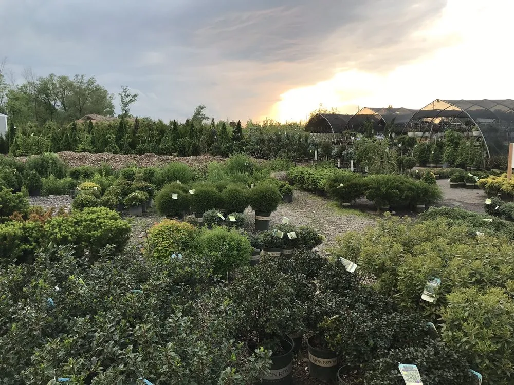 Top-rated landscape design for year-round maintenance across Ontario, NY - Preston’s Tree & Landscape Service