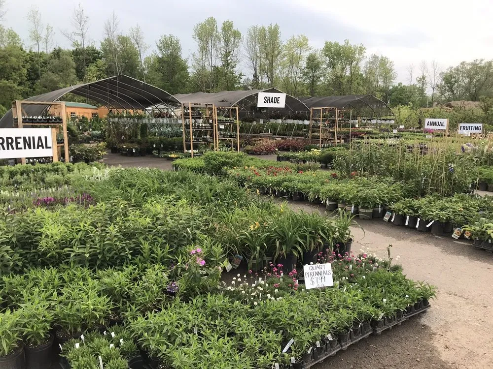 Trusted lawn mowing service in Ontario, NY - Preston’s Tree & Landscape Service