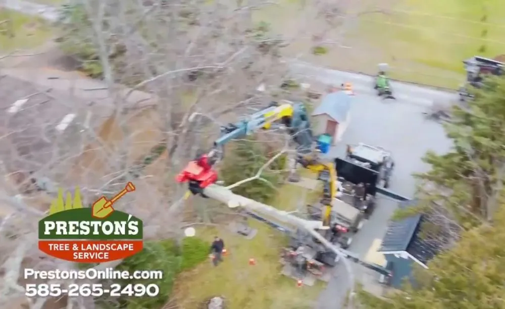 Affordable landscaping services experts serving Ontario, NY - Preston’s Tree & Landscape Service