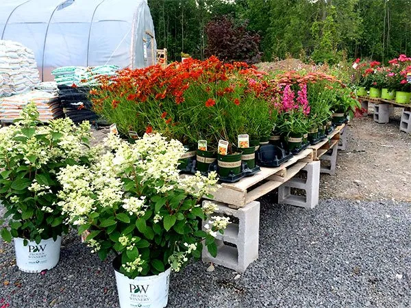 Expert lawn mowing service experts serving Ontario, NY - Preston’s Tree & Landscape Service