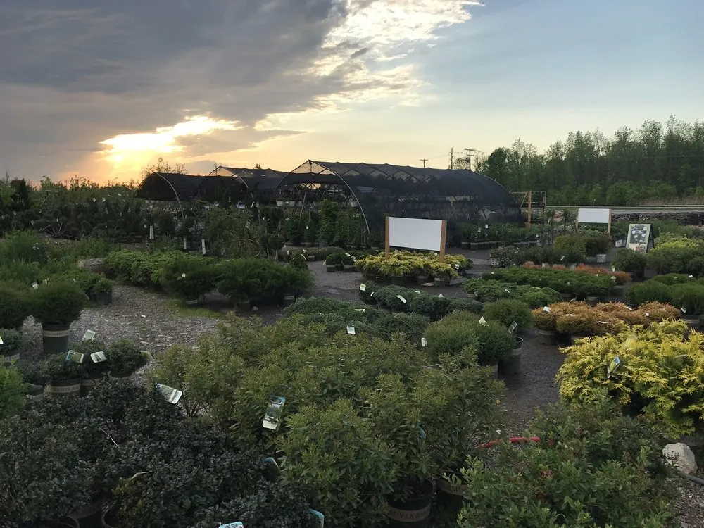 Trusted landscaping services for homes in Ontario, NY by Preston’s Tree & Landscape Service