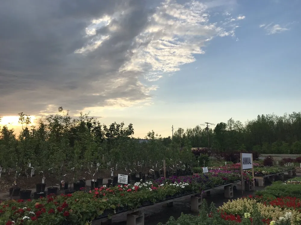 Affordable outdoor landscaping for outdoor upgrades in Ontario, NY by Preston’s Tree & Landscape Service