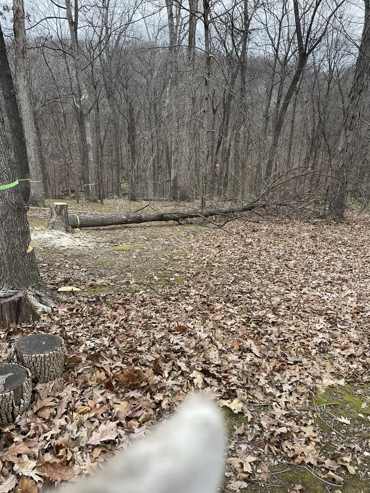 Local yard cleanup service for outdoor upgrades across Hartford, IL - Preston’s Trusted Trades