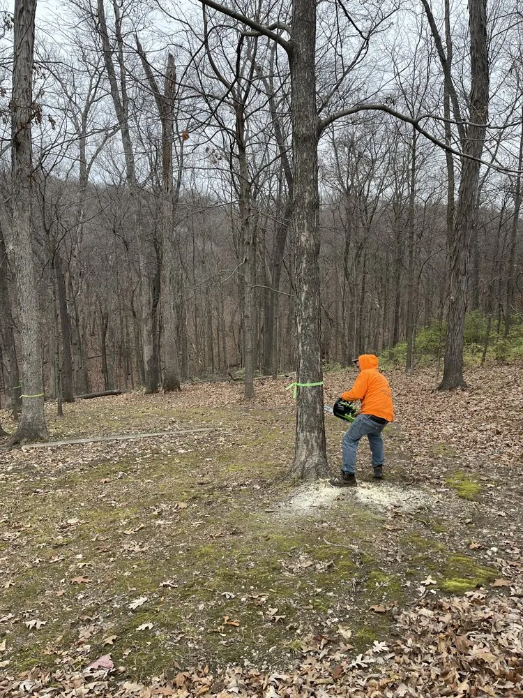 Reliable landscape design in Hartford, IL by Preston’s Trusted Trades