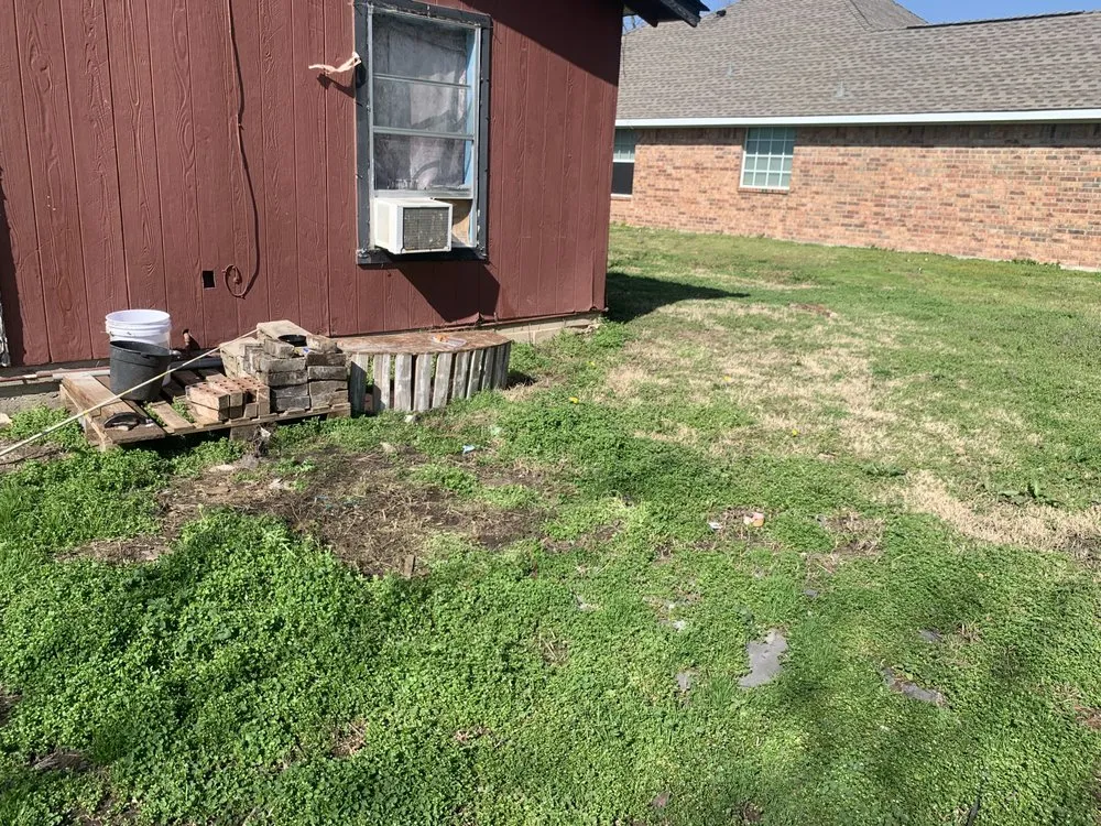 Affordable lawn mowing service experts serving Terrell, TX - Pretentieux Poverte