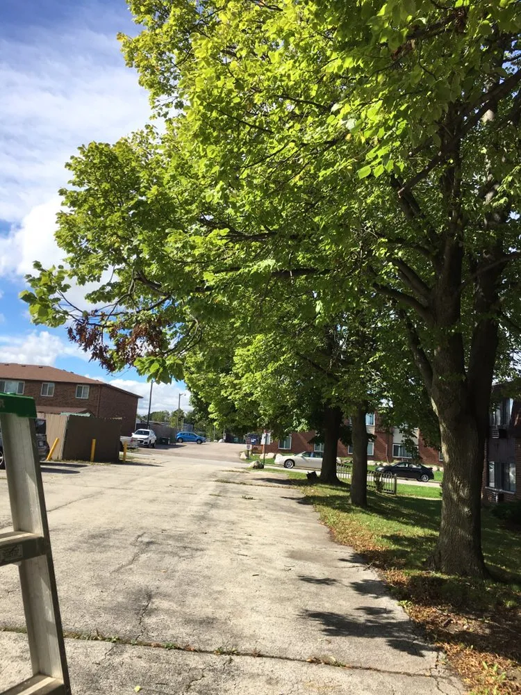 Custom lawn care service for outdoor upgrades in Racine, WI by Pretty Clean Men Cleaning Services