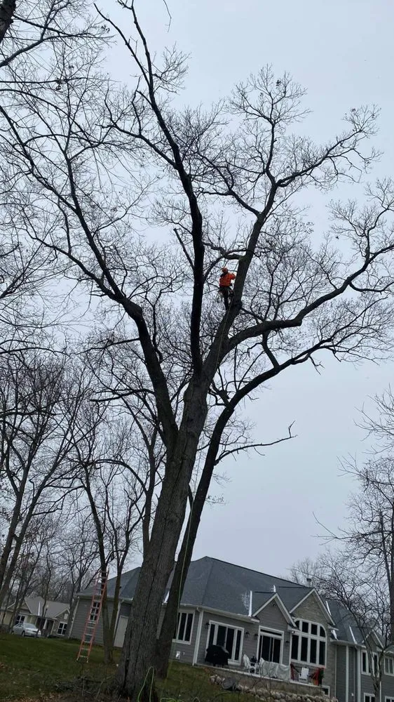 Professional landscape installation for homes in Harvard, IL by Pretty Leaf