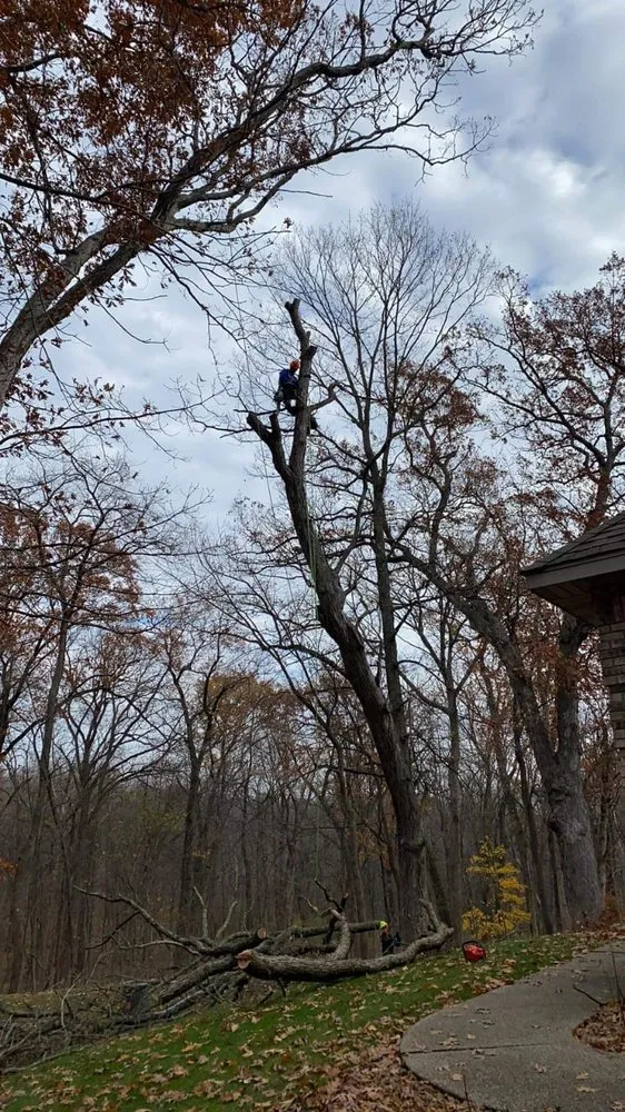 Trusted landscaping services in Harvard, IL by Pretty Leaf