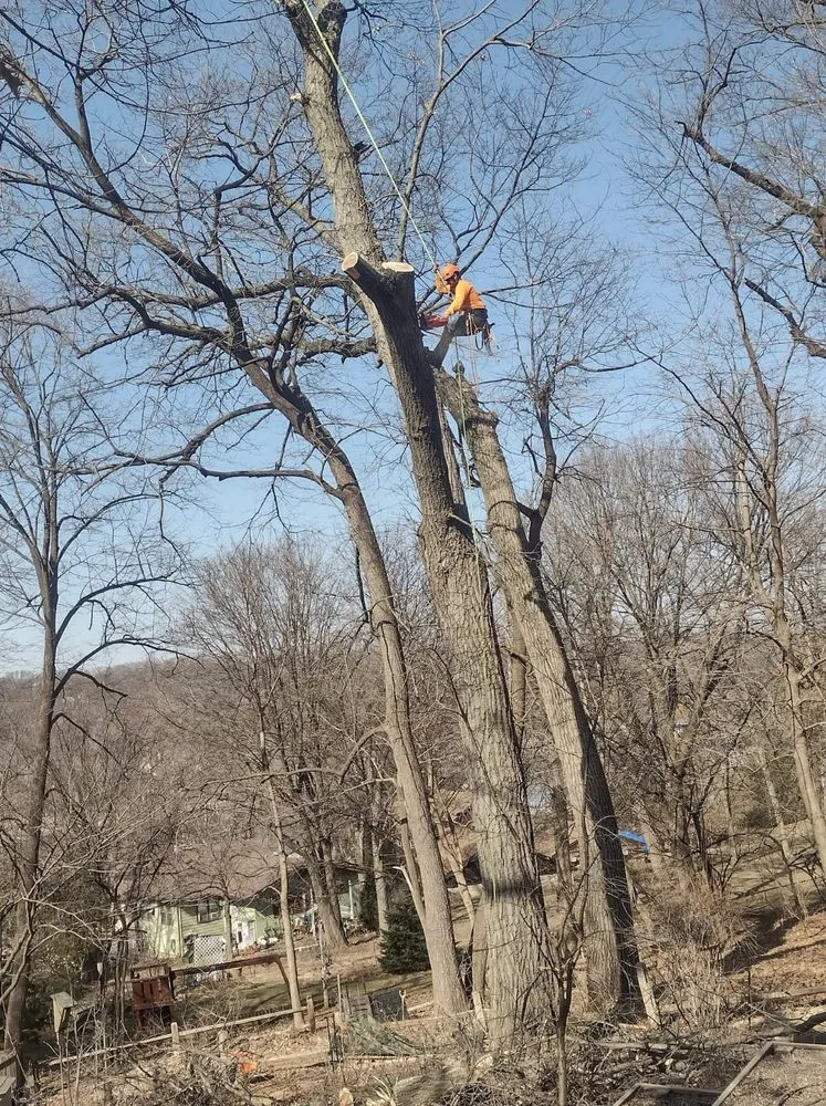 Trusted yard cleanup service in Harvard, IL by Pretty Leaf