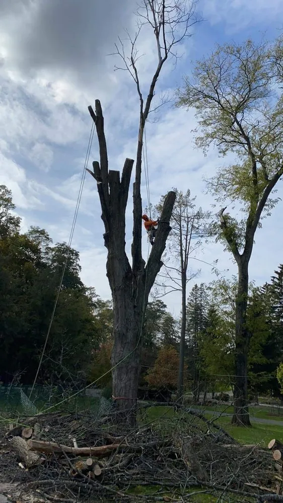 Professional landscaping services in Harvard, IL by Pretty Leaf