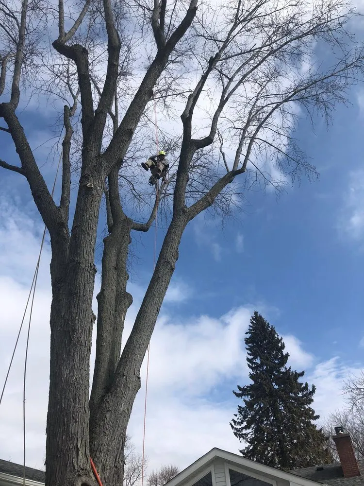 Affordable landscaping services in Harvard, IL - Pretty Leaf